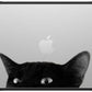 CASETiFY Impact MacBook Air 13.6" (M2-M4) Case [Cushioned Impact Corners/Scratch-Resistant/Anti-Slip Grip] - CAT - Clear Black