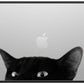 CASETiFY Impact MacBook Air 15" (M2-M4) Case [Cushioned Impact Corners/Scratch-Resistant/Anti-Slip Grip] - CAT - Clear Black