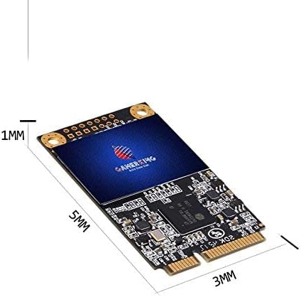 GAMERKING mSATA SSD 64GB 3D NAND SATA III 6 Gb/s, mSATA (30x50.9mm) Internal Solid State Drive - Compatible with Desktop PC Laptop - (MSATA 64GB)