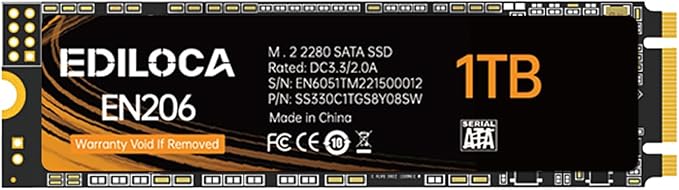 EN206 1TB SSD M.2 SATA III 6Gb/s 3D TLC NAND, M.2 2280 SSD Internal Solid State Drive, Read/Write Speed up to 550/480 MB/s, Compatible with Laptop & PC Desktop