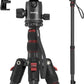 SmallRig CT-20 Camera Tripod, 78.7" Foldable Aluminum Tripod & Monopod, 360°Ball Head Detachable, Payload 33lb (200cm/78.7")