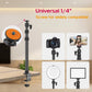 PICTRON LS10 Camera Desk Mount Table Stand with 1/4" Ball Head, 16"-33.8" Adjustable Light Stand, Tabletop C Clamp Arm for DSLR Camera, Ring Light, Live Streaming, Photo Video Shooting