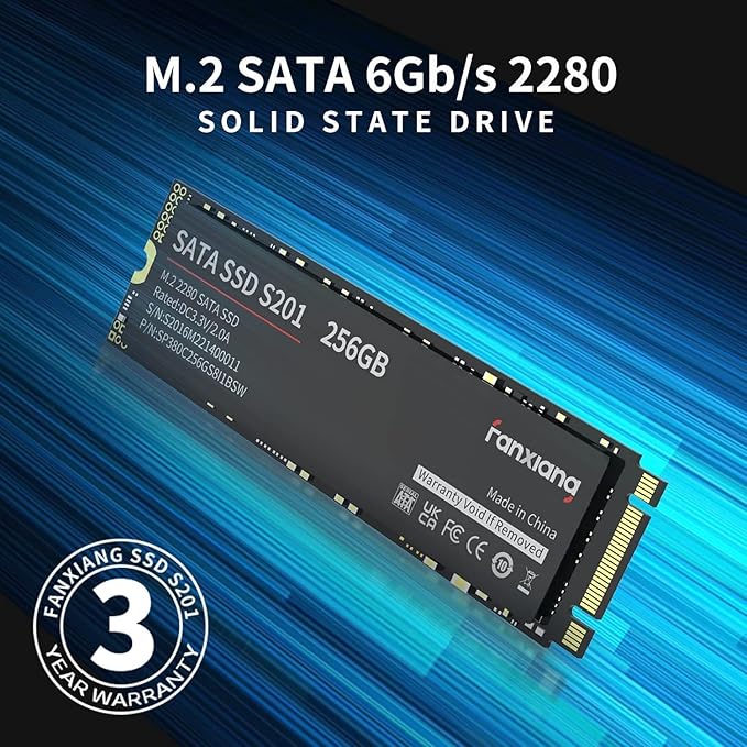 fanxiang S201 512GB M.2 SATA SSD 2280 SATA III 6Gb/s Internal Solid State Drive, SLC Cache for Speed Boost, Read Speed up to 550MB/sec, 3D NAND TLC, Compatible with Laptop and PC Desktops(Black)