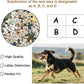 Personalized Photo Puzzle with Glossy Finish – Custom Jigsaw Puzzle 120/200/300/500/1000/1500 Pieces for Family, Couples, Pets, Birthdays, and Weddings (200-Horizontal)
