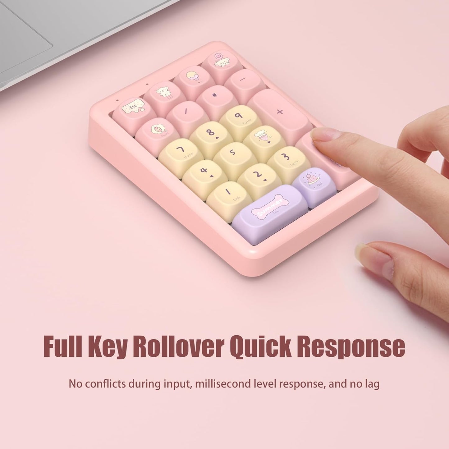 NumberPad,21Keys HotSwappable Numpad,Bluetooth5.0/2.4G/Type-C Wireless Numeric Keypad,Rechargeable Number keypad,RGB Gasket Structure Mechanical Keyboard with PBT Keycap for PC Laptop Notebook