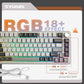 YUNZII B75 PRO Wireless Mechanical Keyboard,75% Layout with Knob,Hot Swap Gasket Custom Structure,Creamy Pre-lubed Switches,RGB Backlit,Bluetooth/Type-C/2.4G for Win/Mac(Milk Switch,Grey)