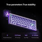 MelGeek REAL67 Wired Keyboard, Gaming Keyboard with RGB, Special Magnetic Switches, Rapid Trigger, Hot-Swappable, Snap Tap & Adjustable Actuation, Online HIVE Custom (Potassium-Transparent Purple)