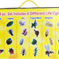 Insect Lore's Life Cycle Figurines 24 Pc Set | Butterfly, Ladybug, Frog, Honey Bee, Ant and Praying Mantis | 4 Stages Per Insect, 24 Figurines Total