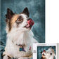Custom Puzzle, Personalized Puzzle for Photos, Customized Puzzle 120/200/300/500/1000/1500 Pieces for Family, Christmas, Pet, Birthday, Wedding Gift