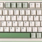 YUNZII B75 PRO Wireless Mechanical Keyboard,75% Layout with Knob,Hot Swap Gasket Structure,Creamy Pre-lubed Switches,RGB Backlit,Bluetooth/Type-C/2.4G for Win/Mac (Matcha Green, Cocoa Cream V2 Switch)