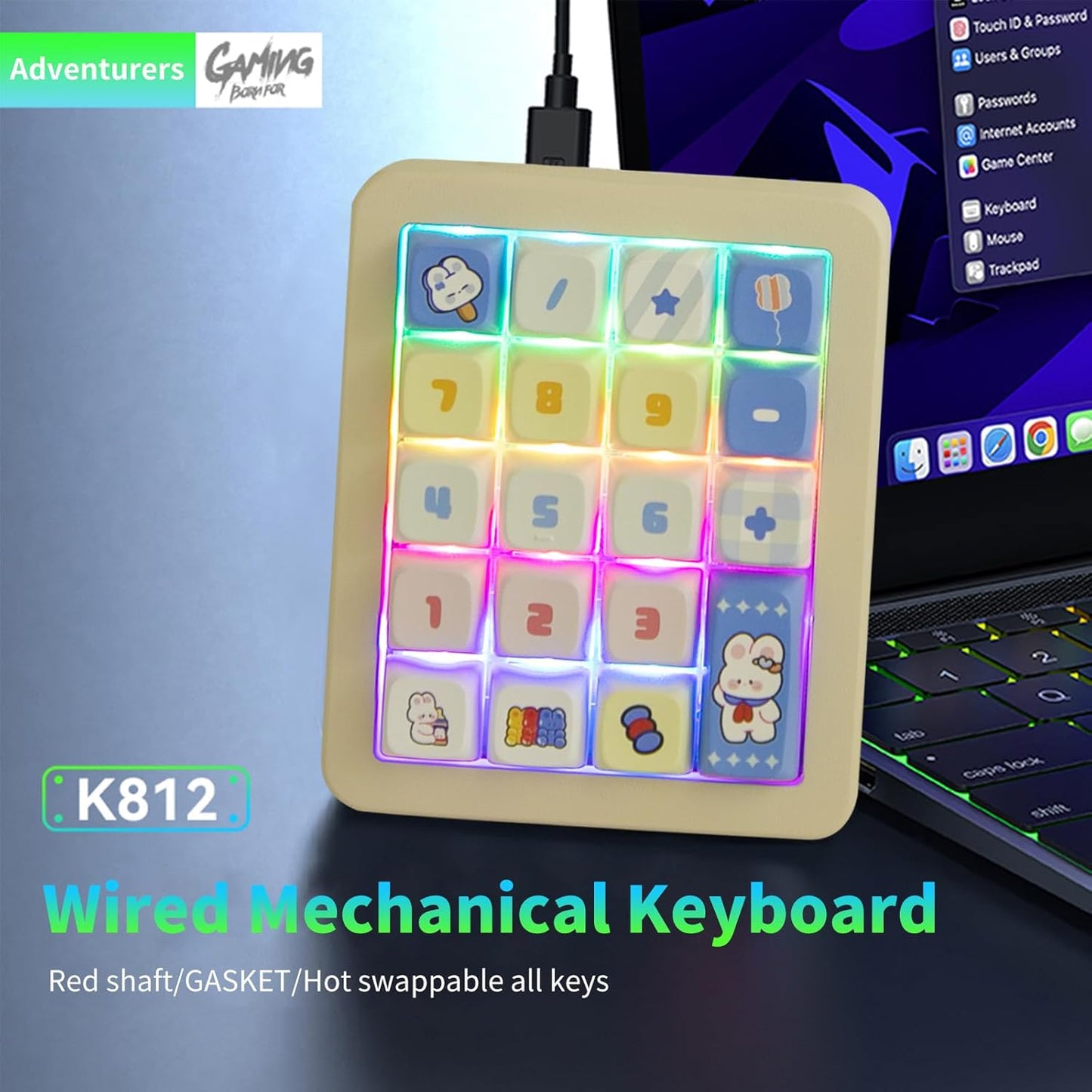 Adventurers K812 Wired Mechanical Numeric Keypad, 19-Key Hot-Swappable RGB Numpad, Macro Programmable, Detachable Type-C Cable, Game/Office Mode Switch – for PC/Laptop/Desktop (Cream White)