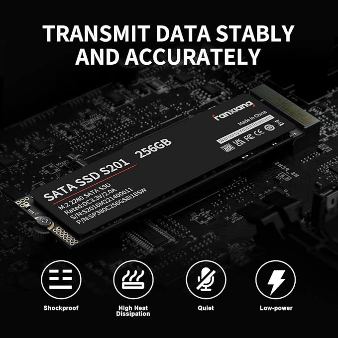 fanxiang S201 512GB M.2 SATA SSD 2280 SATA III 6Gb/s Internal Solid State Drive, SLC Cache for Speed Boost, Read Speed up to 550MB/sec, 3D NAND TLC, Compatible with Laptop and PC Desktops(Black)
