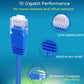 Rapink Patch Cables Cat6a 1ft (10 Pack) Slim, Cat6a Ethernet Patch Cable 10G Support, Snagless Cat 6 Patch Cable for Patch Panel to Switch, Flexiable Cat 6a Ethernet Cable with Gold Plated