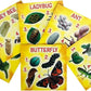 Insect Lore's Life Cycle Figurines 24 Pc Set | Butterfly, Ladybug, Frog, Honey Bee, Ant and Praying Mantis | 4 Stages Per Insect, 24 Figurines Total