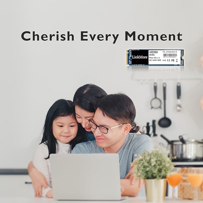 LinkMore XE200 1TB PCIe Gen3 NVMe M.2 2280 Internal Solid State Drive, Gen3.0X4 Read Speed Up to 2500MB/s for Latop and PC