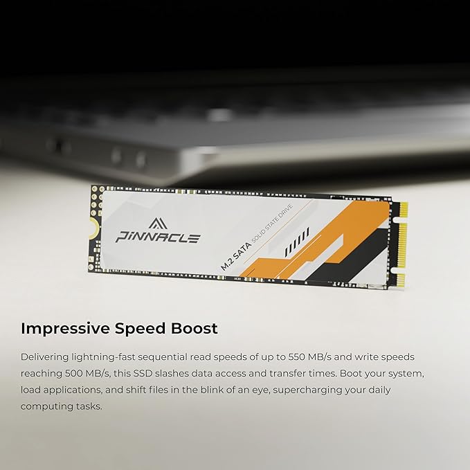 Timetec 256GB SSD 3D NAND SATA III 6Gb/s M.2 2280 NGFF 128TBW Read Speed Up to 550MB/s SLC Cache Performance Boost Internal Solid State Drive for PC Computer Laptop and Desktop (Pinnacle)