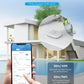 Govee WiFi Thermometer Hygrometer H5179, Smart Humidity Temperature Sensor with App Notification Alert, 2 Years Data Storage Export, Remote Monitor for Room Greenhouse （Only Support 2.4G Wi-Fi）