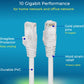 Rapink Patch Cables Cat6 1ft (24 Pack), Ethernet Patch Cable 10G Support, Cat 6 Patch Cable for Patch Panel to Switch, Flexiable Cat 6 Ethernet Cable with Gold Plated White