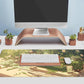 Green Gardener Desk Mat Anime Forest XL Gaming Mouse Pad Plant Lover Desk Pad with Stitched Edges, Women Desktop Decor Mousepad Laptop Computer Keyboard and Mouse Mat Desk Accessories 31.5x11.8 in