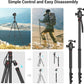 SmallRig Camera Tripod, 71" Foldable Aluminum Tripod/Monopod, 360°Ball Head Detachable, Payload 33lb, Adjustable Height from 16" to 71" for Camera, Phone