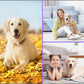 Custom Mouse Pad, Personalized Mouse Pad with Photo & Text, Neoprene Mouse Mat for Laptop Computer Office Desk, Mousepad Small with Anti-Slip Rubber Base